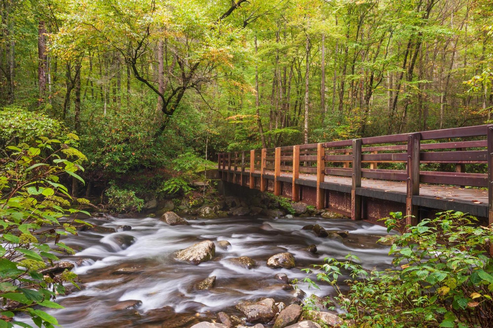 Mountain Eden, Hot Tub, Resort Pool, Wifi, 1089 Free Tickets Each Paid Day, Dollywood And More Gatlinburg Zewnętrze zdjęcie
